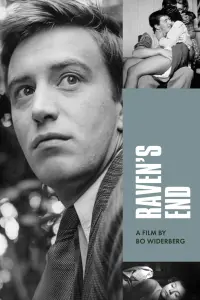 Poster to the movie "Raven