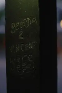 Poster to the movie "Vincent on the Island" #1158107