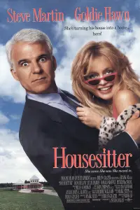 Poster to the movie "Housesitter" #723520