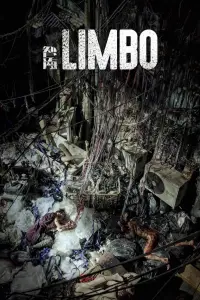 Poster to the movie "Limbo" #1174673