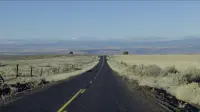 Backdrop to the movie "My Own Private Idaho" #808505
