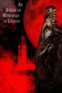 Poster to the movie "An American Werewolf in London" #701899