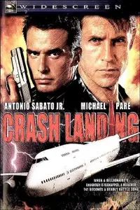 Poster to the movie "Crash Landing" #1152075