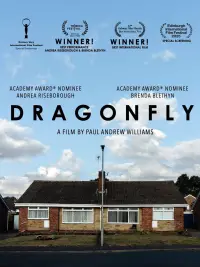 Poster to the movie "Dragonfly" #692829