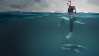 Backdrop to the movie "Shark Beach with Chris Hemsworth" #880609