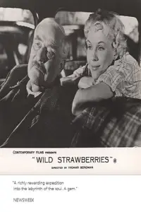 Poster to the movie "Wild Strawberries" #876453