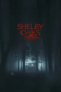 Poster to the movie "Shelby Oaks" #522833
