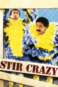 Poster to the movie "Stir Crazy" #1029636