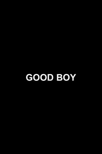 Poster to the movie "Good Boy" #710889