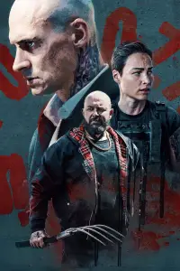 Poster to the movie "Inside Furioza" #599125