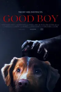 Poster to the movie "Good Boy" #899279