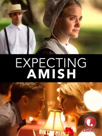 Poster to the movie "Expecting Amish" #972207