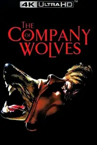 Poster to the movie "The Company of Wolves" #959500