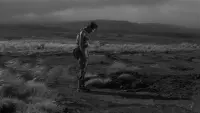 Backdrop to the movie "Fires on the Plain" #831597