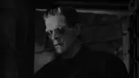 Backdrop to the movie "Frankenstein" #641078