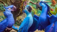 Backdrop to the movie "Rio 2" #636853