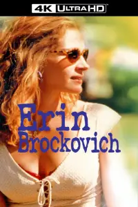 Poster to the movie "Erin Brockovich" #1020581