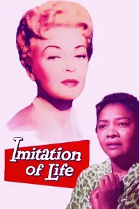 Poster to the movie "Imitation of Life" #1042033