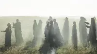 Backdrop to the movie "Wildwitch" #813728