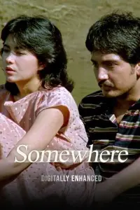 Poster to the movie "Somewhere" #1261828