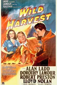 Poster to the movie "Wild Harvest" #1168829