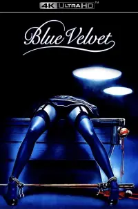 Poster to the movie "Blue Velvet" #910870