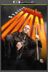 Poster to the movie "Levon