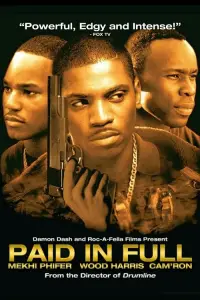 Poster to the movie "Paid in Full" #975100