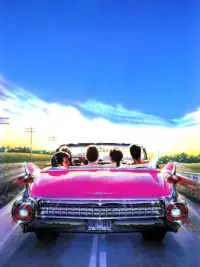 Poster to the movie "Heartbreak Hotel" #1070447