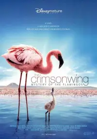 Poster to the movie "The Crimson Wing: Mystery of the Flamingos" #964458