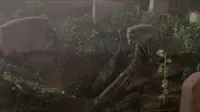 Backdrop to the movie "King Kong Lives" #857863