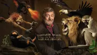 Backdrop to the movie "Fantastic Beasts: A Natural History" #974192