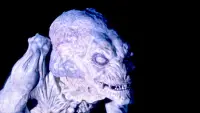 Backdrop to the movie "Pumpkinhead" #735461