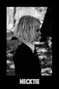 Poster to the movie "Necktie" #1097787