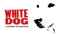 Backdrop to the movie "White Dog" #1099043