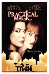 Poster to the movie "Practical Magic" #938495