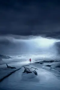 Poster to the movie "Arctic" #727238