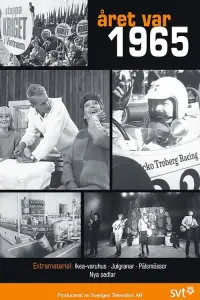 Poster to the movie "Året var 1965" #859505