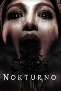 Poster to the movie "Nokturno" #1096704