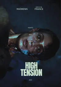 Poster to the movie "High Tension" #680902