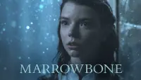 Backdrop to the movie "Marrowbone" #99781