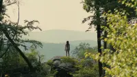 Backdrop to the movie "Companion" #709510