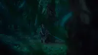 Backdrop to the movie "If We Don
