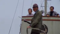 Backdrop to the movie "Jaws" #529849