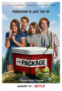 Poster to the movie "The Package" #973000