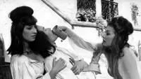 Backdrop to the movie "The Saragossa Manuscript" #862841