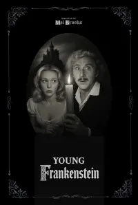 Poster to the movie "Young Frankenstein" #781556