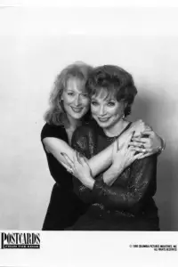 Poster to the movie "Postcards from the Edge" #1042120