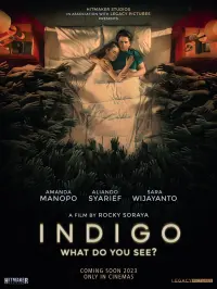 Poster to the movie "Indigo" #705504