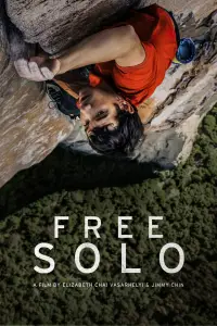 Poster to the movie "Free Solo" #957915